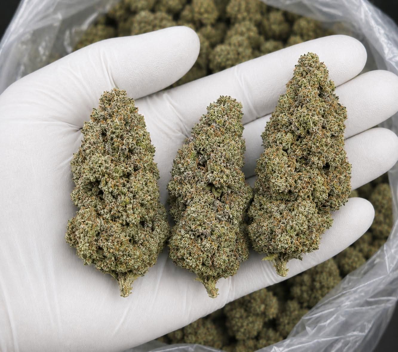 Billede af Crystal Kush Premium Bud’s